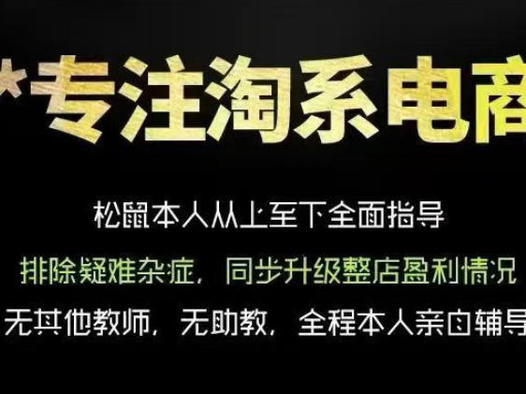 松鼠会电商VIP课程,从基础布局到高阶优化,助你掌握淘宝运营逻辑,提升店铺流量与转化(更新0901)