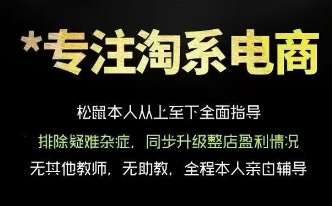 松鼠会电商VIP课程，从基础布局到高阶优化，助你掌握淘宝运营逻辑，提升店铺流量与转化（更新0910）