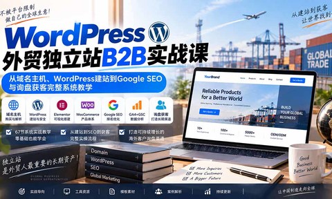 WordPress外贸独立站B2B实战课:从域名主机、WordPress建站到Google SEO与询盘获客完整系统教学