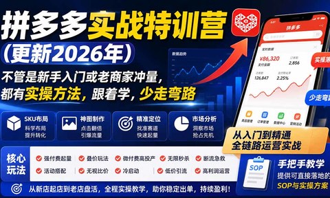 拼多多实战特训营(更新0920