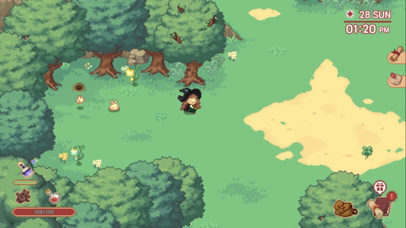 【美版】林中小女巫 Little Witch in the Woods 中文