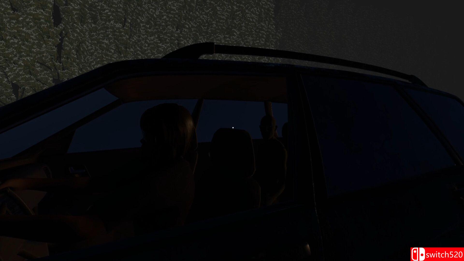 《拦检异常（Traffic Stop Anomaly）》Build 25562888 [英文]