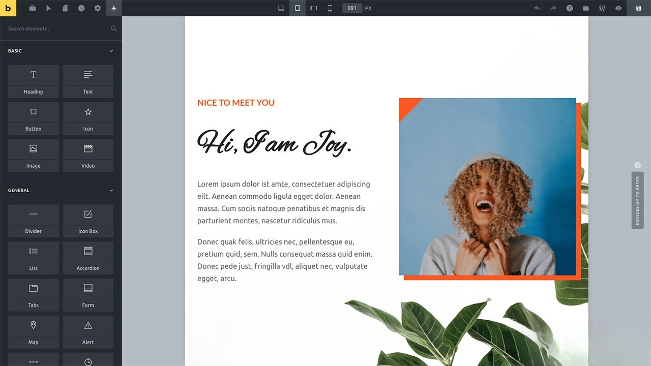 WordPress主题Bricks v1.9 破解版
