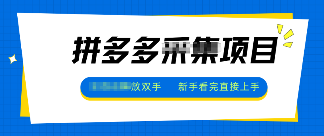 拼多多电商采集,一小时50+,操作简单,零投资