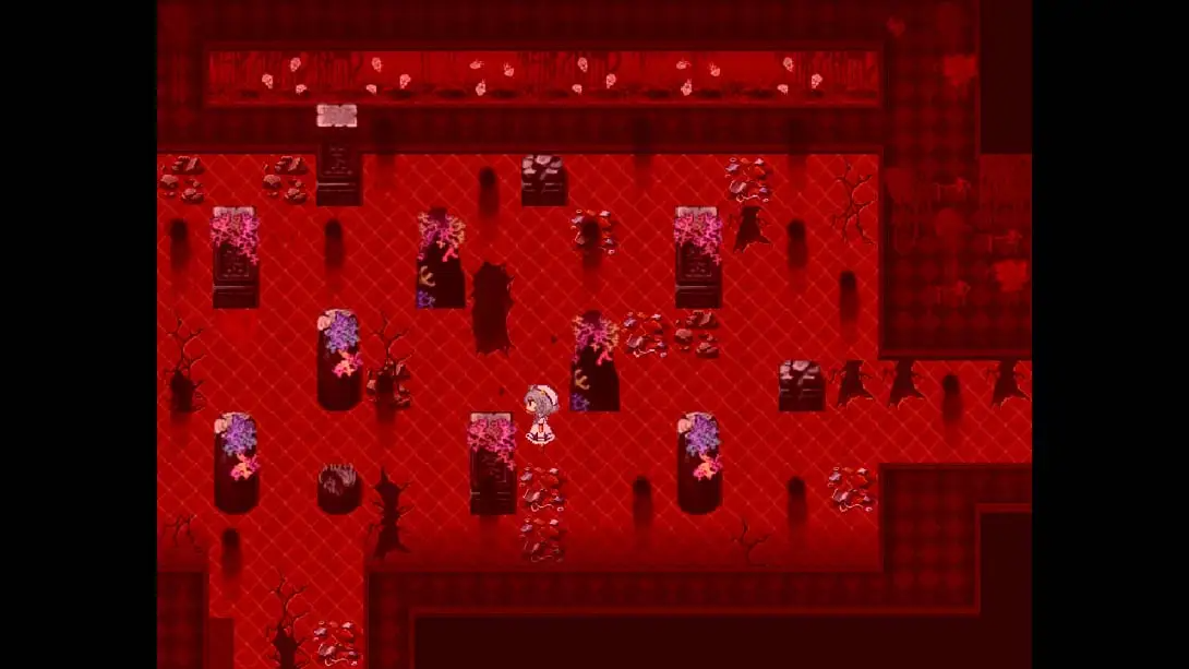 【美版】水族馆不跳舞 .The Aquarium does not dance 中文